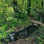Shubu Zen Szilvásvárad