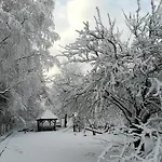Shubu Zen Szilvásvárad