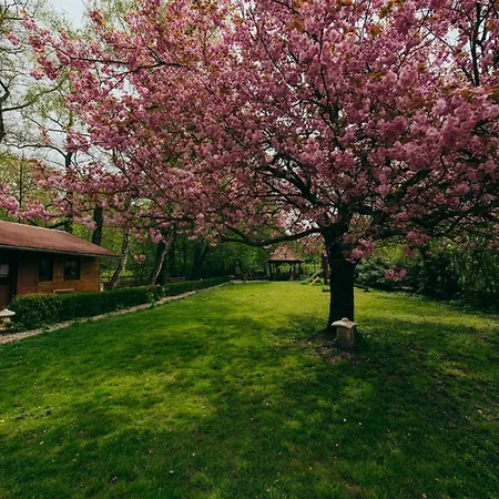 Shubu Zen Vendeghaz Szilvásvárad