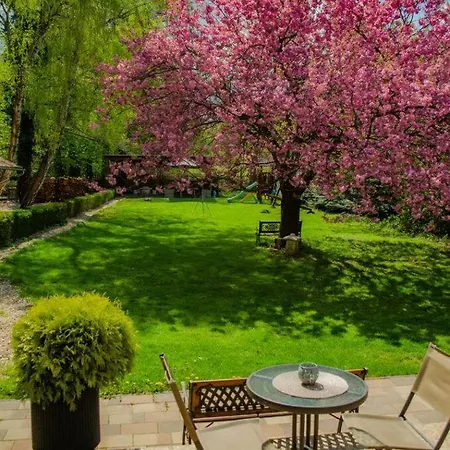 Shubu Zen Vendeghaz *