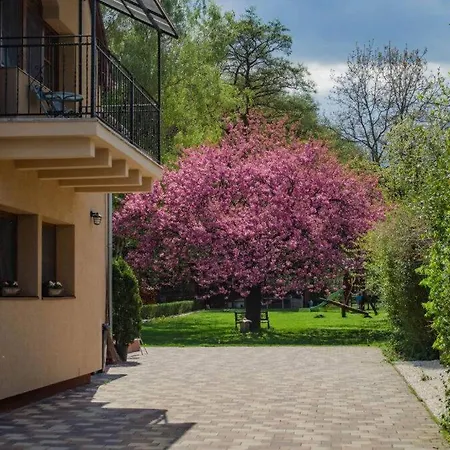 Shubu Zen Vendeghaz *