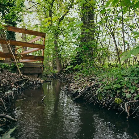 Pensjonat Shubu Zen Vendeghaz