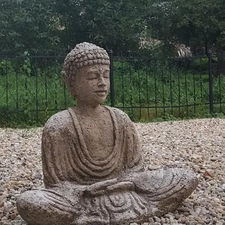Pensiune Shubu Zen Vendeghaz *