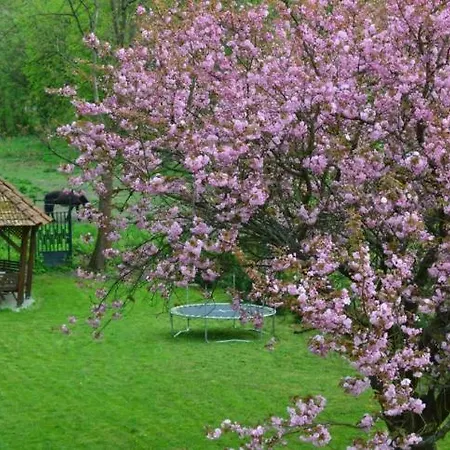 Shubu Zen Vendeghaz *