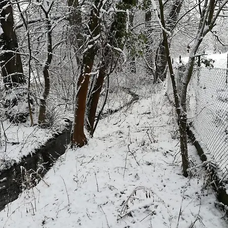 Shubu Zen Vendeghaz Pensjonat Szilvásvárad