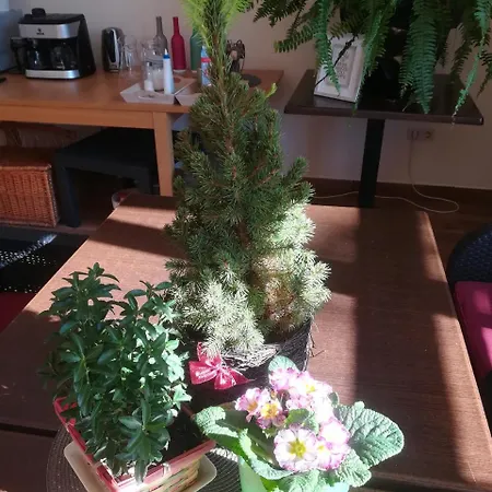 Shubu Zen Szilvásvárad